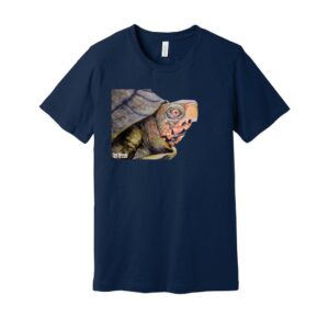 Box Turtle - Unisex Jersey Tee