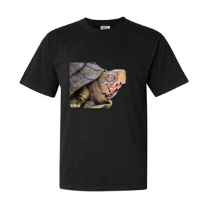Box Turtle - Unisex Heavyweight T-Shirt