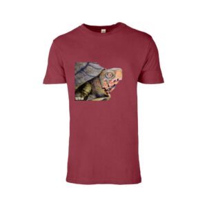 Box Turtle - Unisex Vintage Crewneck Tee